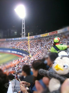 20110907_6.JPG