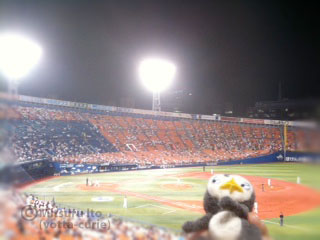 20110907_8.JPG