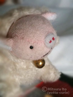 20110913_6.JPG