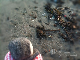 20110914_5.JPG