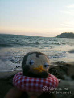20110914_9.JPG