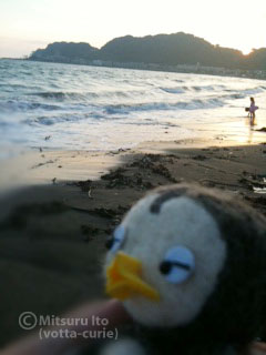 20110914_15.JPG