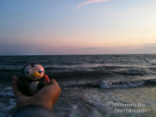 20110914_17.JPG