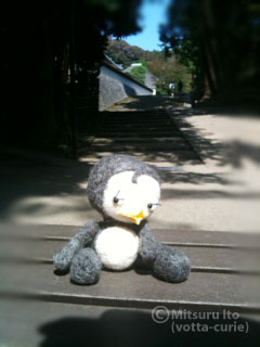 20110925_2.JPG