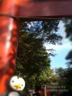 20110925_9.JPG