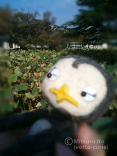 20110925_85.JPG