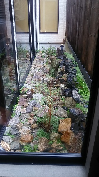 リストランテナカモト