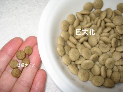 ¤Õ¤ä¤±¤¿