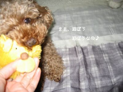 遊ぼう