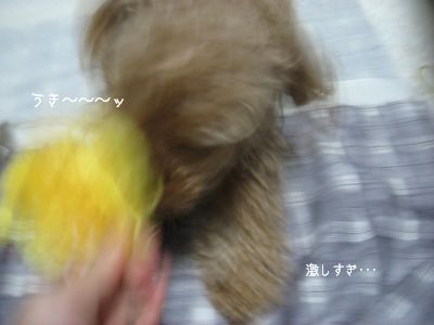 うひゃひゃひゃ