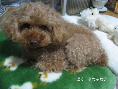 お風呂なの