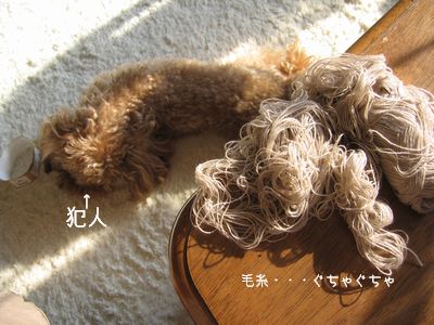 毛糸