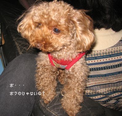 ぼく
