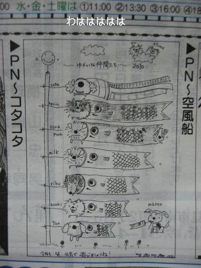 コタコタ