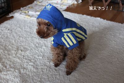 琥太