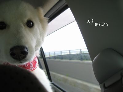 ハイジ