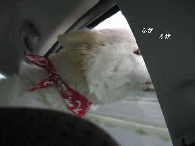 ハイジ