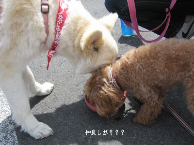 お水