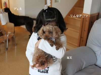 りんなぎ
