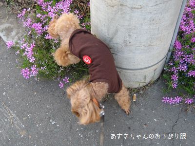 散歩