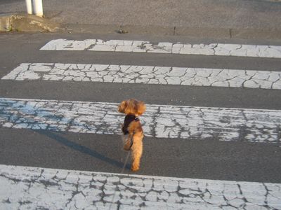 散歩