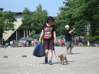 わん