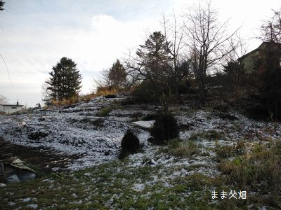雪