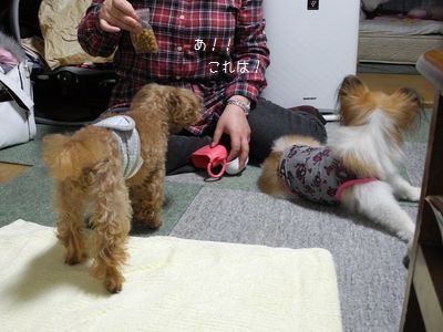 ワン