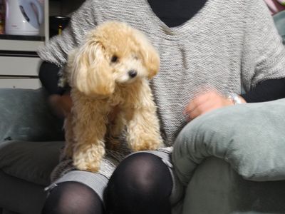 このんちゃん