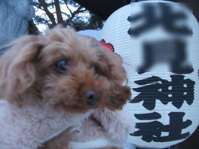 神社
