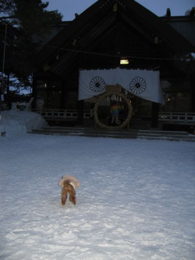 神社