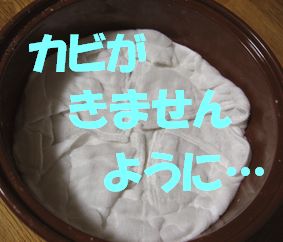 ÉۤǤդ¿¤ò¤·¤Þ¤¹¡£