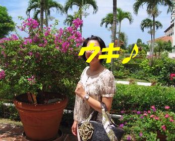 ブーゲンビリアがきれい