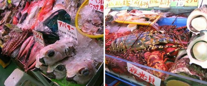 アバサーって、水族館にいたよねぇ。