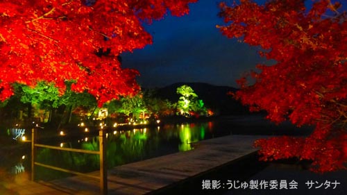 おしゃべり うじゅログ Ujyulog からす天狗うじゅブログ