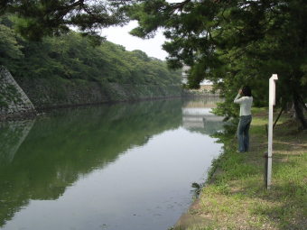 彦根城のお堀