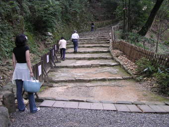 これ・・・登るの?