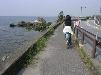 さざなみ街道