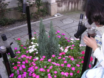 万華鏡覗く
