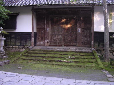 苔って感じです