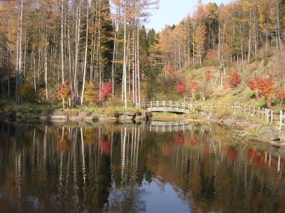 池に写ったつもり