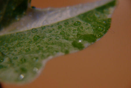 水滴