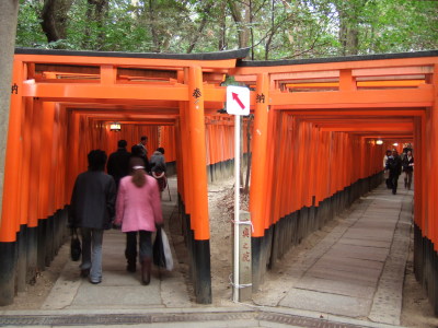 鳥居の順路
