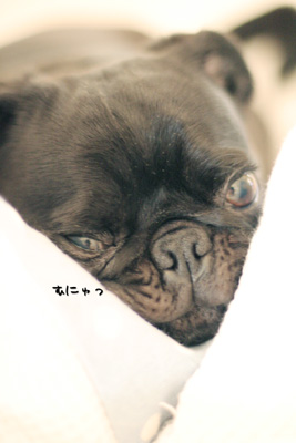 やっぱり見られてた!
