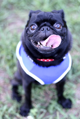 smile!
