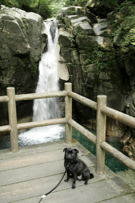 滝