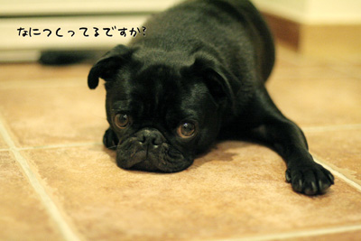 なんだろうね〜