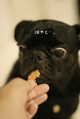 とんがってきたし!
