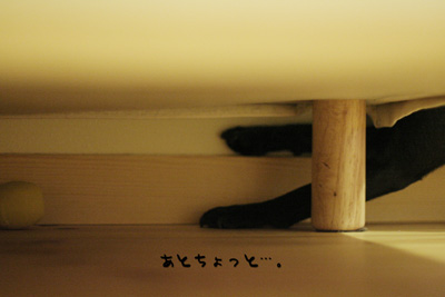 無理かなぁ?