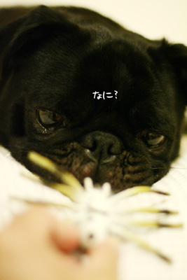 な〜に?